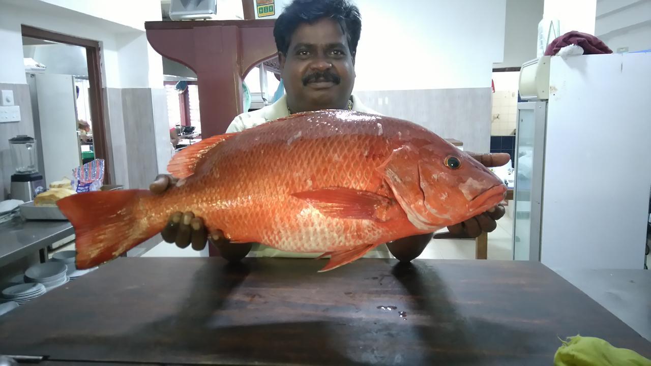 Pahalage Guesthouse Beruwala Exteriör bild